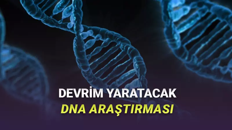 DNAnın Ne Kadar Bir Alana Sıkıştırıldığı İlk Kez Net Bir Şekilde Görüntülendi [Video]