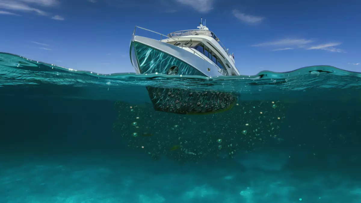 Denizlerin Görünmez Düşmanı Biofoulinge Karşı Türk Mühendislerden Devrim: Ses Dalgalarıyla Denizi Temizliyorlar