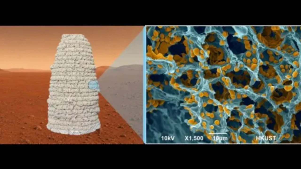 Mars'taki evler maya ve jelatinden yapılabilir