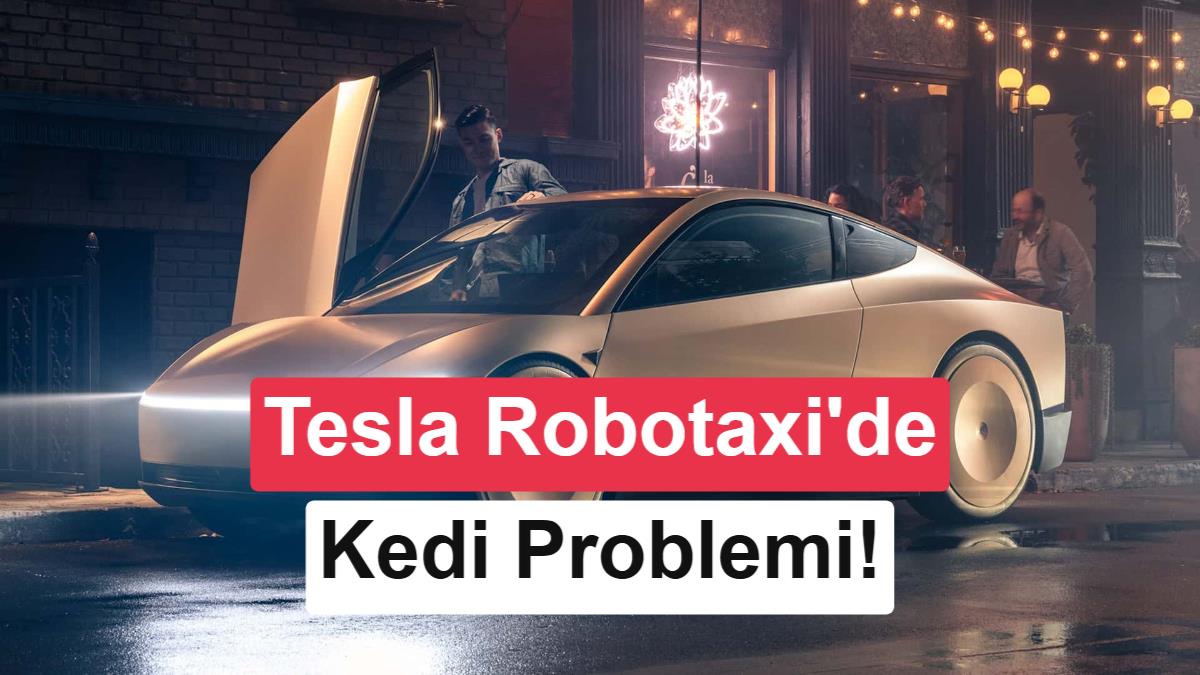 Elon Musk'tan robotaksi itirafı: "Karanlıkta kedileri görmek zor"