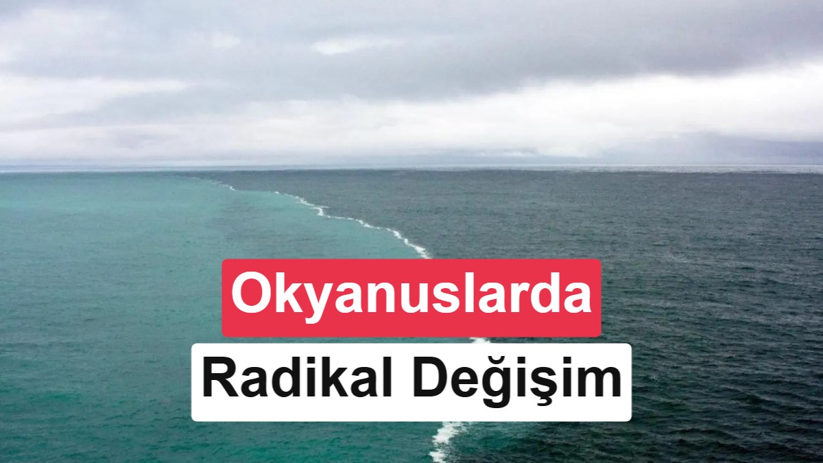 Küresel ısınma, iki dev okyanus arasındaki bağlantıyı koparıyor