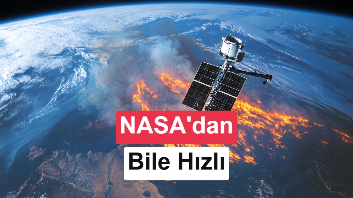 Bu girişim, yapay zekâyı kullanarak orman yangınlarını NASA'dan bile hızlı tespit ediyor